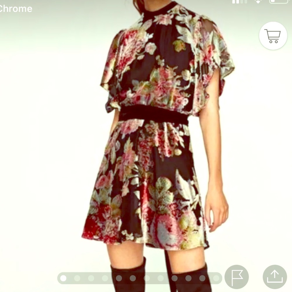 Zara Flutter sleeve velvet floral mini